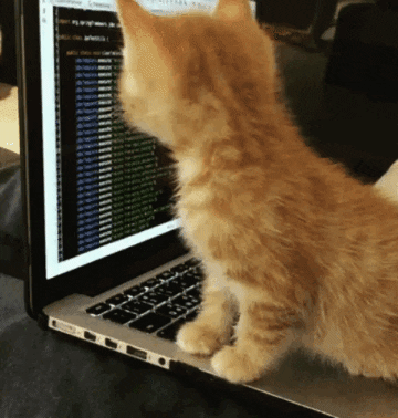 working-img