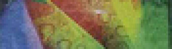 Banda Chá De Kapiaba