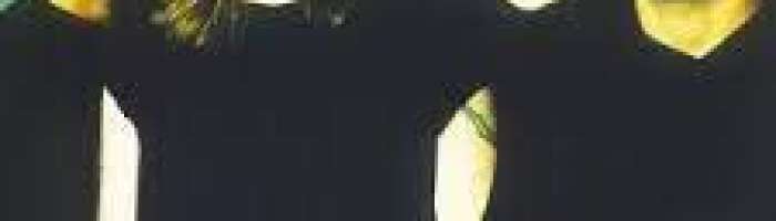 Engenheiros do Hawaí