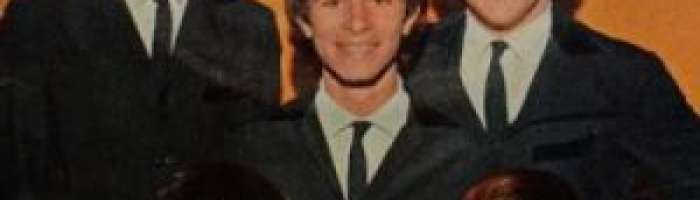 The Brazilian Bitles